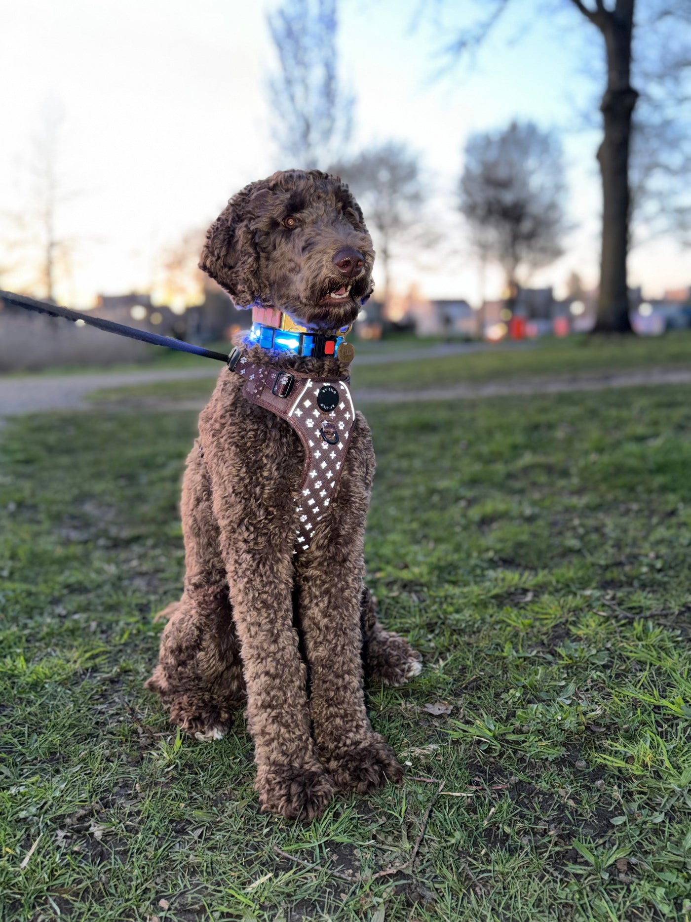 Stijlvol & Veilig: Waarom het reflecterende Y-tuigje van By Lilo dé gamechanger is voor jouw wandelingen - By Lilo