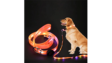 Waarom elke hondenbezitter een Glow-in-the-dark hondenriem nodig heeft - By Lilo