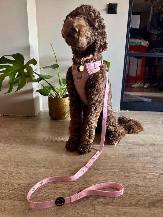 Reflecterende roze hondenriem