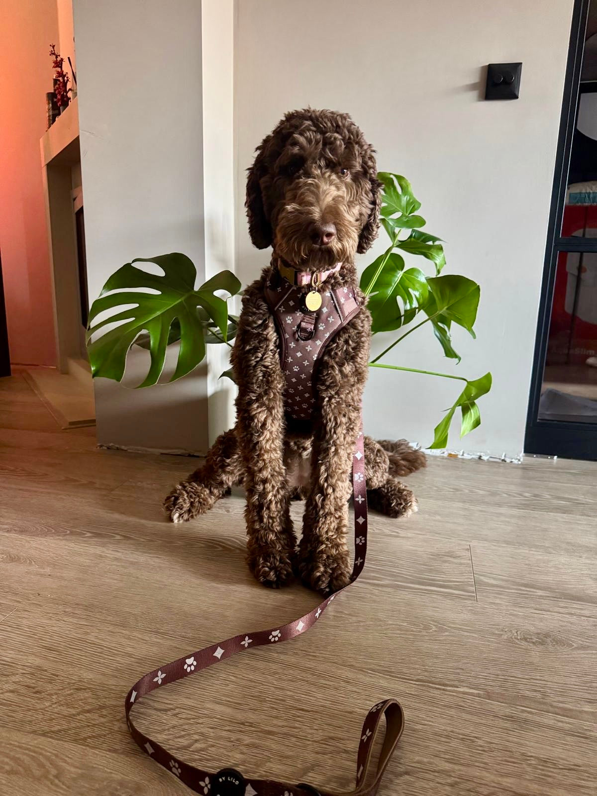 Bruin Reflecterende Harnas + Riem Bundel