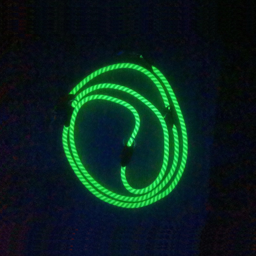Glow-in-the-dark hondenriem 3 meter