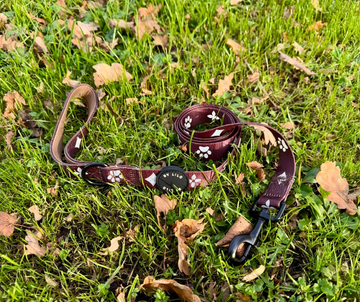 Reflecterende bruine hondenriem