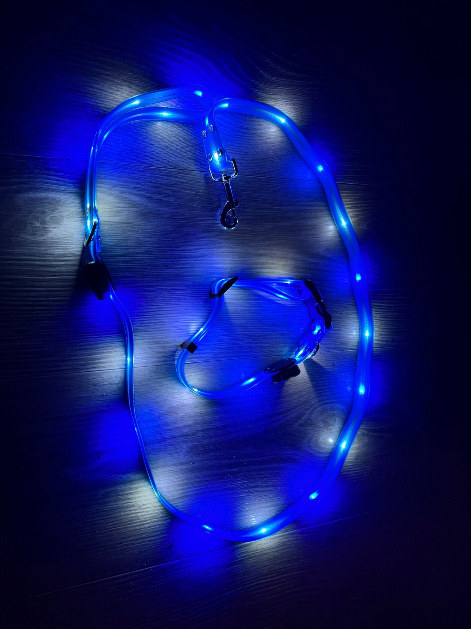 Led halsband en riem combinatie