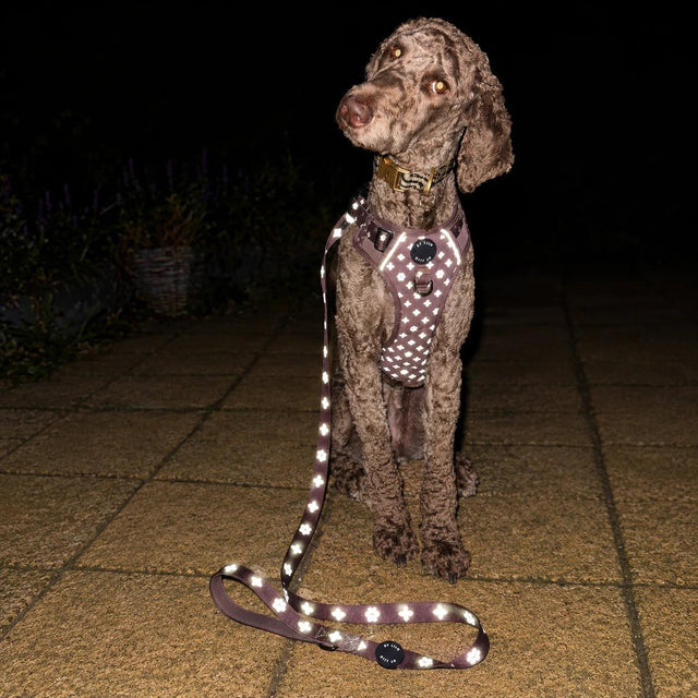 Bruin Reflecterend Antitrek Y-Tuig + Riem Bundel - By Lilo