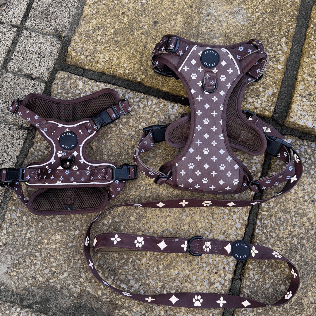 Bruin Reflecterende Harnas + Riem Bundel - By Lilo