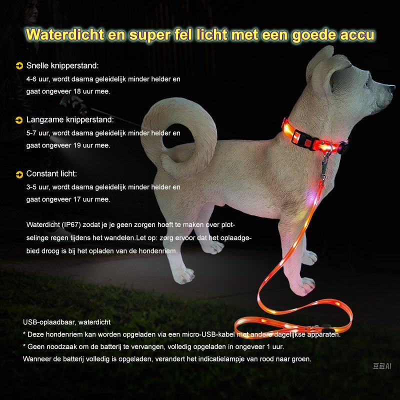 Led halsband en riem combinatie - By Lilo