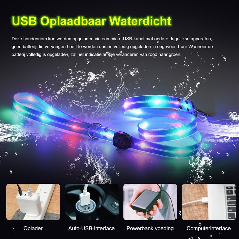 Led halsband en riem combinatie - By Lilo