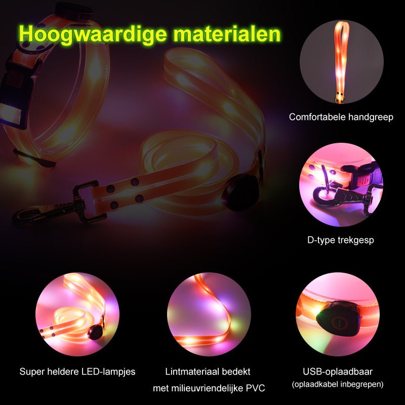 Led halsband en riem combinatie - By Lilo