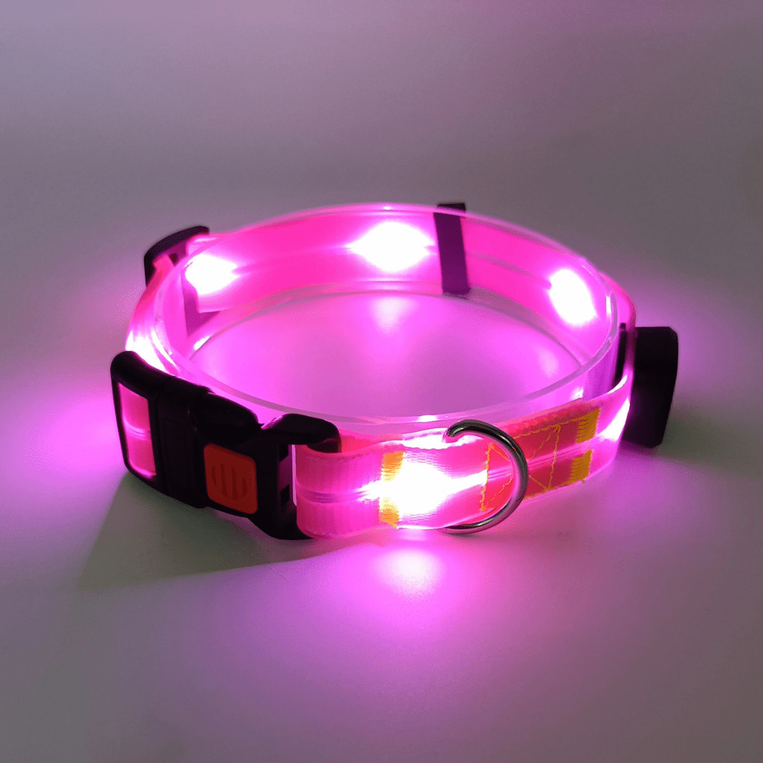 Lichtgevende LED Honden Halsbanden - By Lilo