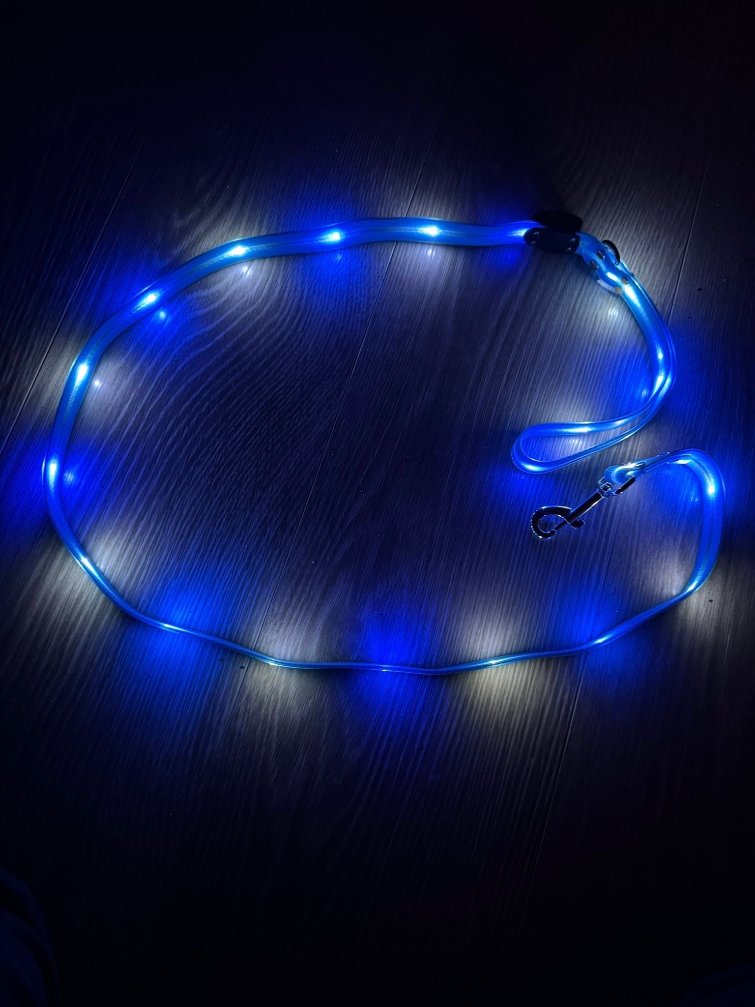 Lichtgevende LED hondenriemen - By Lilo