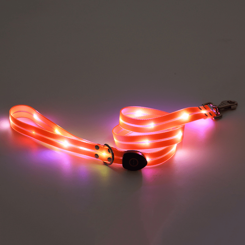 Lichtgevende LED hondenriemen - By Lilo