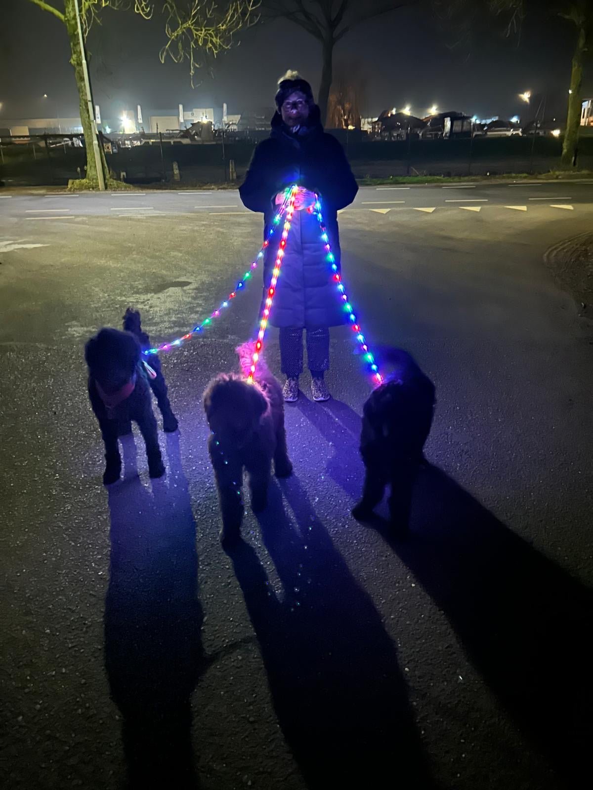 Lichtgevende LED hondenriemen - By Lilo