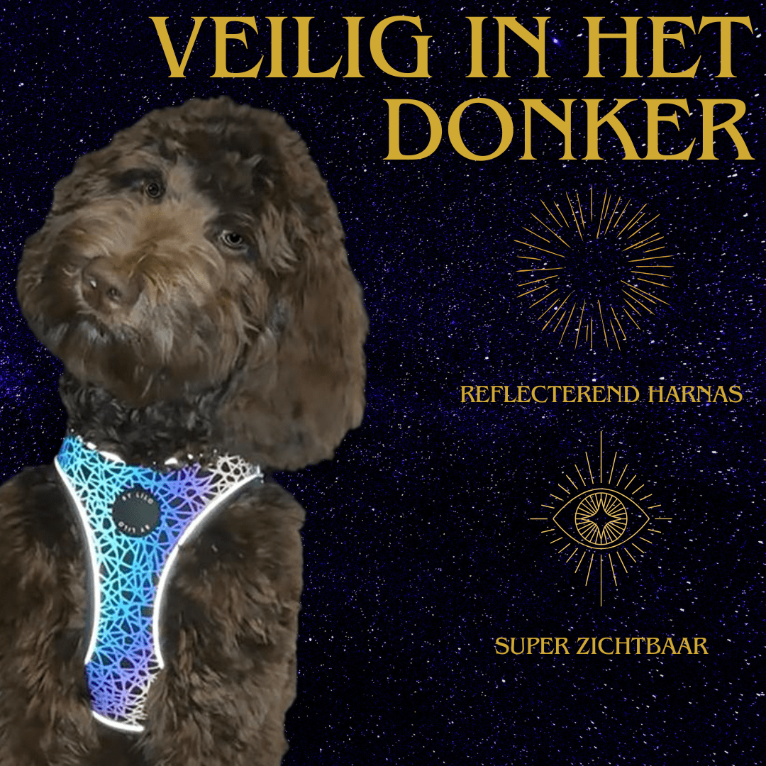Reflecterend hondenharnas - By Lilo