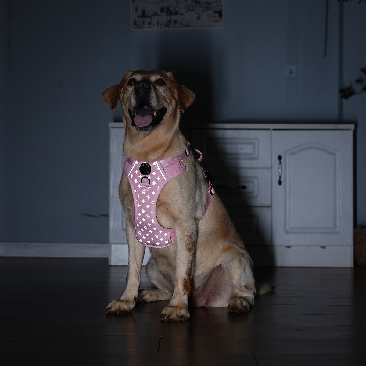 Roze Reflecterende Harnas + Riem Bundel - By Lilo